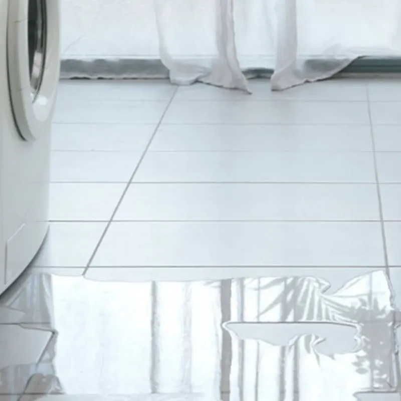 Appliance Leak Cleanup in Blue Ridge, AL