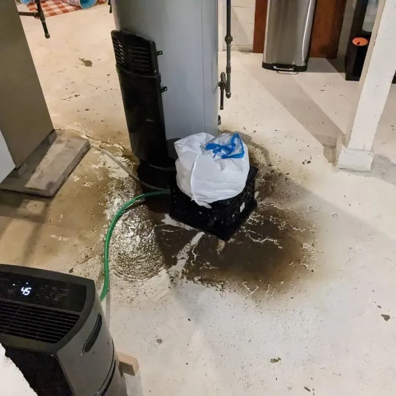 Sewage Backup Cleanup Service in Blue Ridge, AL